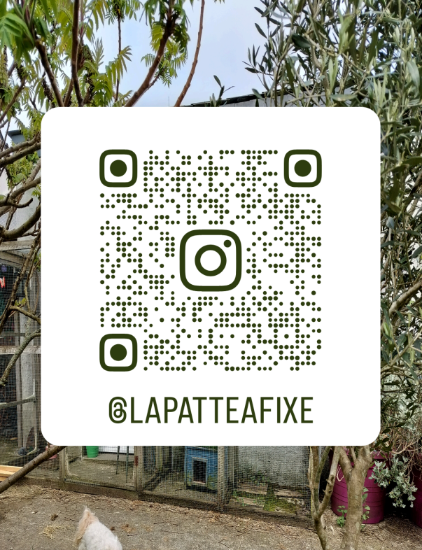 QR code Instagram La Patte Mobile