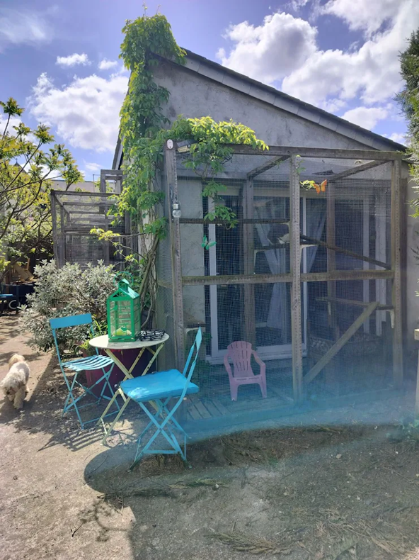 Jardinet sécurisé — La Patte à Fixe